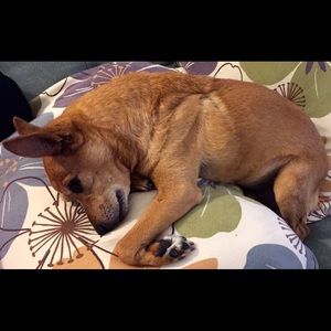 Meet your Posher, Ali